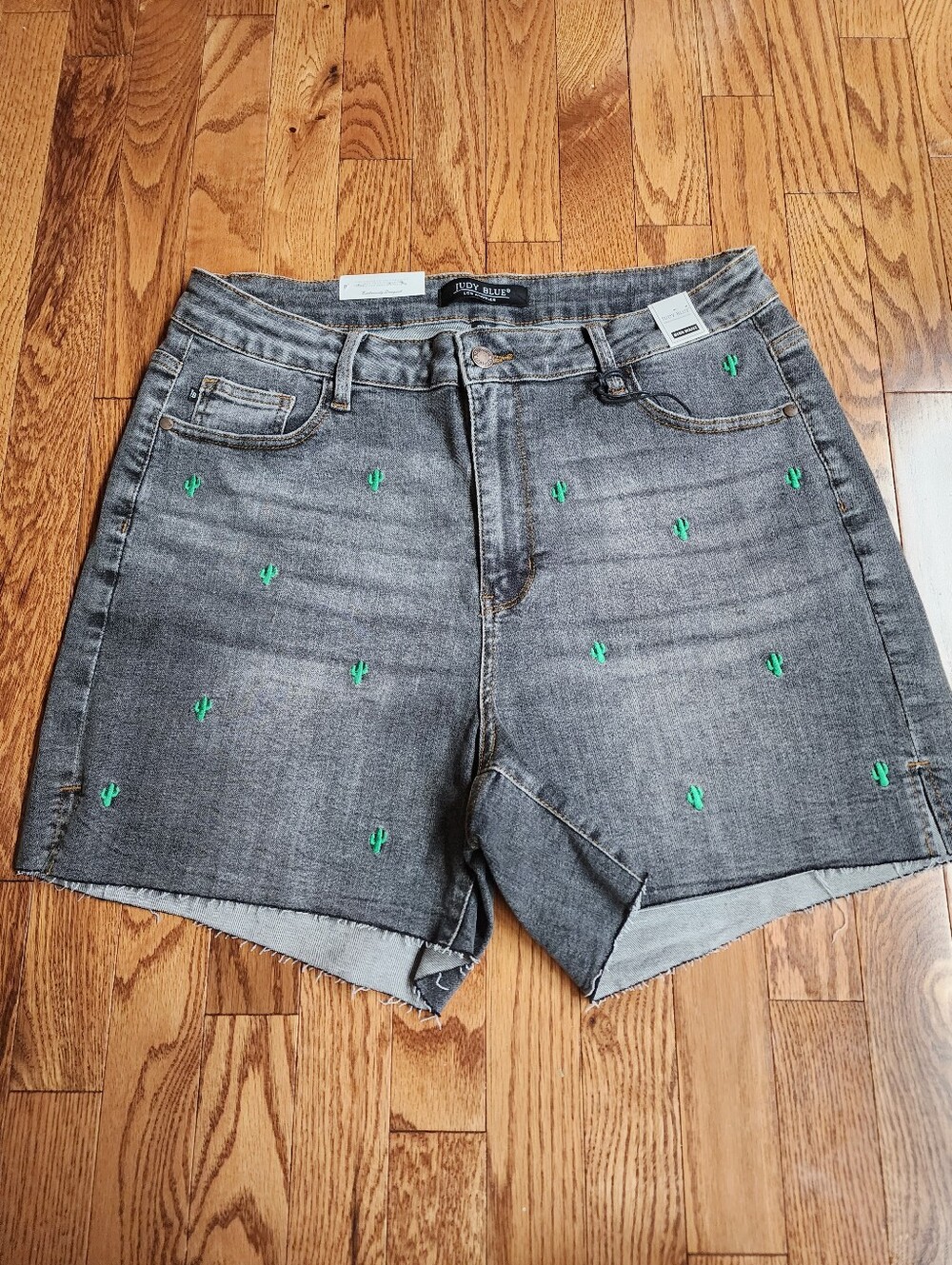 Judy Blue Denim Shorts with Green Cactus Embroidery